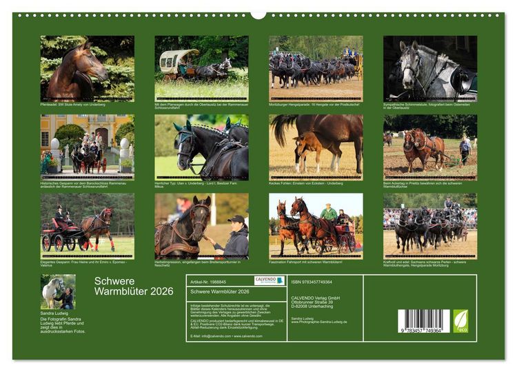 Produktbild: Schwere Warmbl&uuml;ter 2026 (hochwertiger Premium Wandkalender 2026 DIN A2 quer), Kunstdruck in Hochglanz