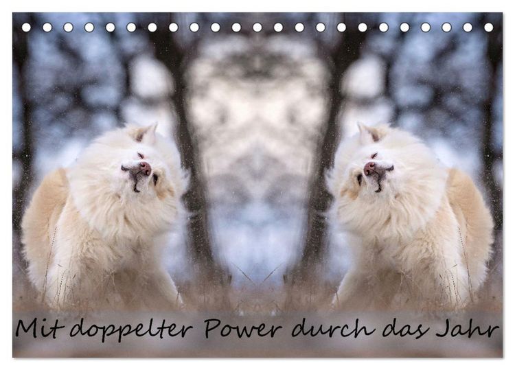 Produktbild: Mit doppelter Power durch das Jahr (Tischkalender 2026 DIN A5 quer), CALVENDO Monatskalender