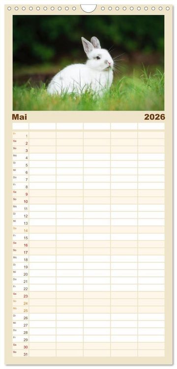 Produktbild: Familienplaner 2026 - Hasen - Die niedlichen Hoppeltiere. mit 5 Spalten (Wandkalender, 21 x 45 cm) CALVENDO