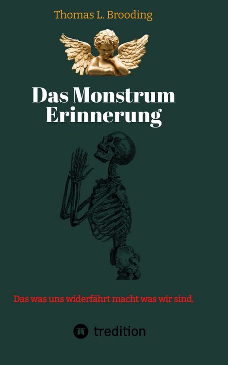 Produktbild: Das Monster Erinnerung. Manchen Schmerz m&ouml;chte man vergessen. Aber nach &uuml;ber 60 Lebensjahren l&auml;sst sich auch von Engeln der Erinnerung berichten.