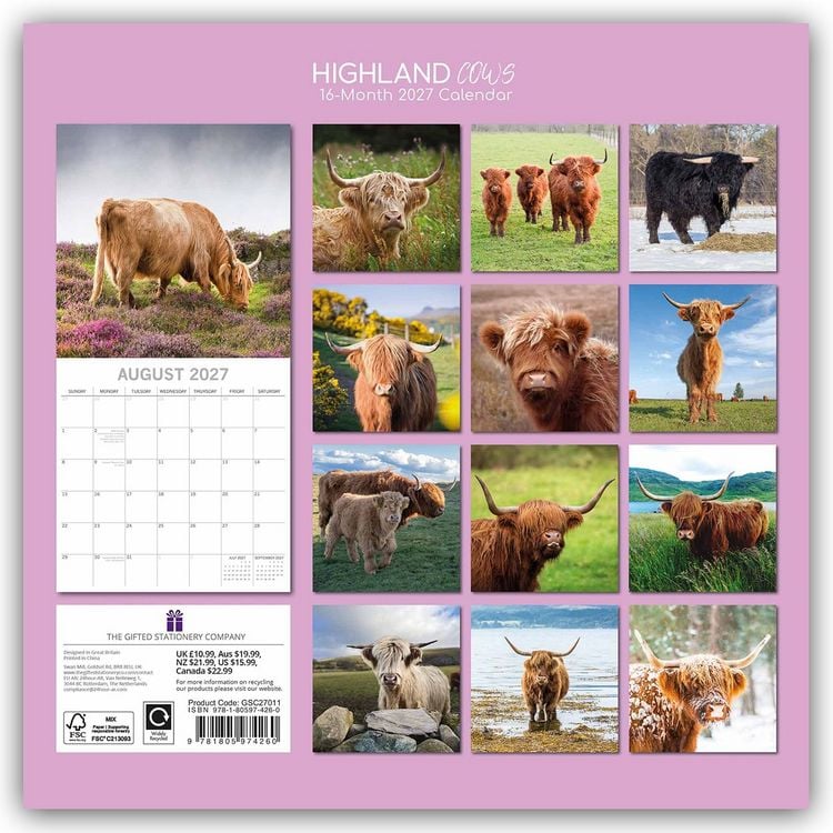 Produktbild: Highland Cows &ndash; Hochland-K&uuml;he &ndash; Hochlandrinder 2027 &ndash; 16-Monatskalender