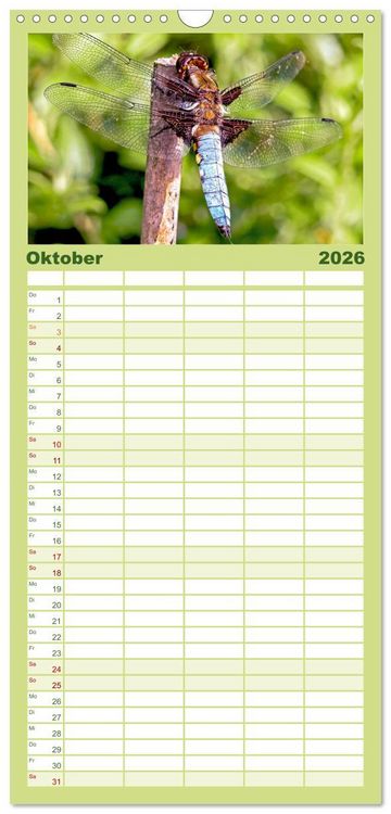 Produktbild: Familienplaner 2026 - INSEKTEN - Makrofotografie in freier Natur mit 5 Spalten (Wandkalender, 21 x 45 cm) CALVENDO
