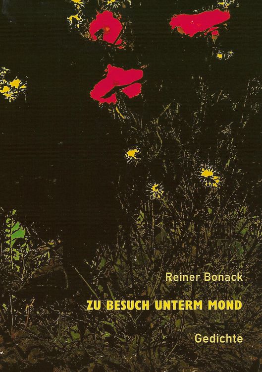 Produktbild: Zu Besuch unterm Mond
