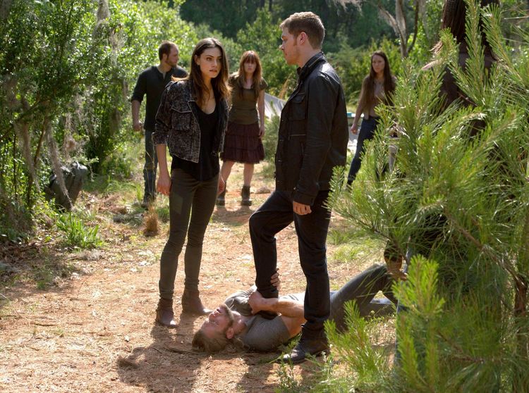 Produktbild: The Originals - Die komplette Staffel 2 [5 DVDs]