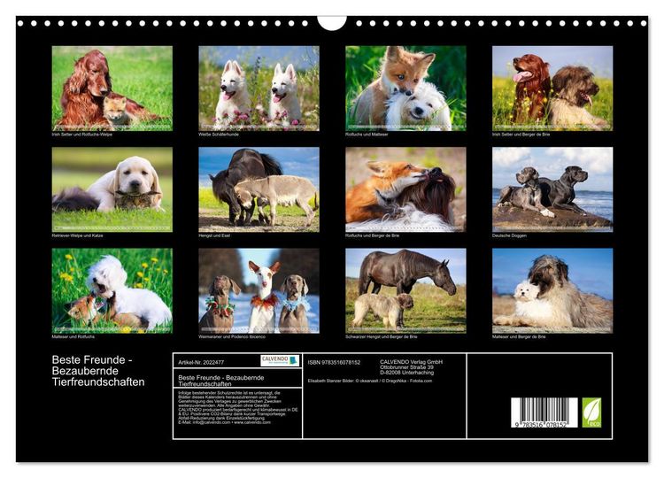 Produktbild: Beste Freunde - Bezaubernde Tierfreundschaften (Wandkalender 2026 DIN A3 quer), CALVENDO Monatskalender