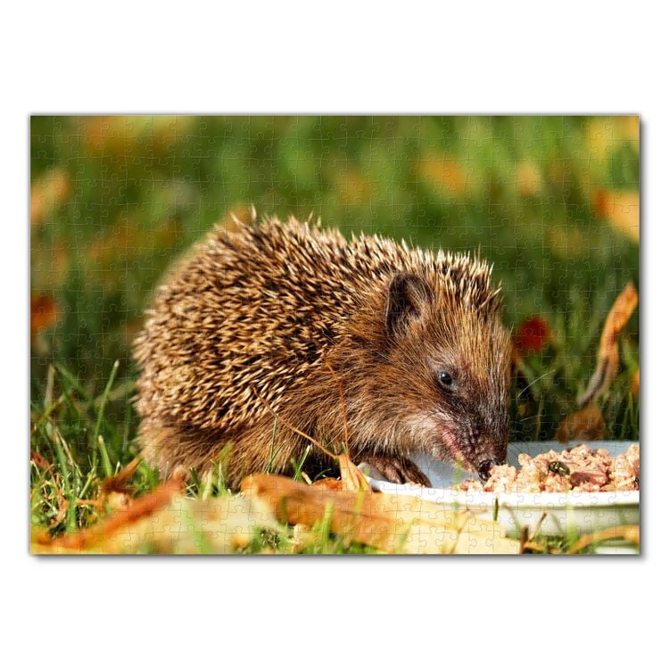 Produktbild: Lais Puzzle Igel 500 Teile