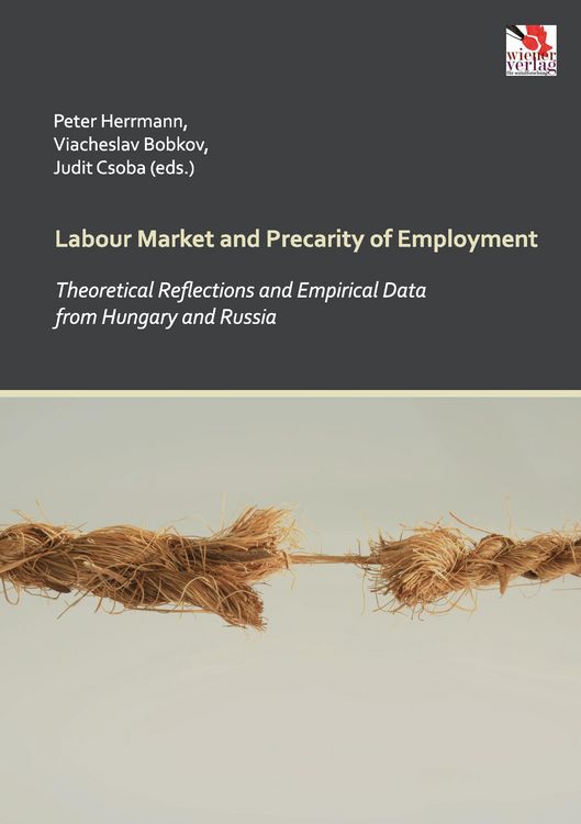 Produktbild: Labour Market and Precarity of Employment