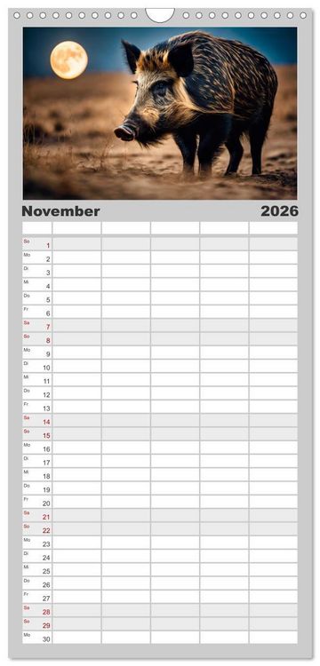 Produktbild: Familienplaner 2026 - Heimische Tiere im Mondlicht mit 5 Spalten (Wandkalender, 21 x 45 cm) CALVENDO