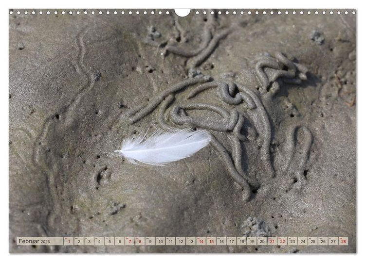 Produktbild: Cuxland, Urlaubsgl&uuml;ck zwischen Nordsee und Elbe (Wandkalender 2026 DIN A3 quer), CALVENDO Monatskalender