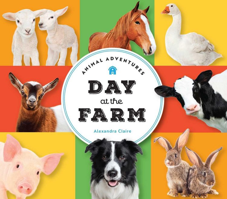Produktbild: Animal Adventures: Day at the Farm