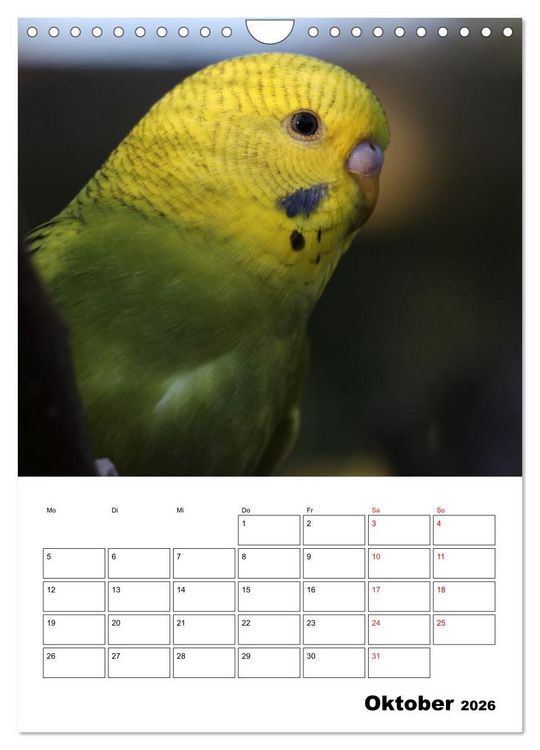 Produktbild: Wellensittichkalender Jubil&auml;umsedition - 10 Jahre Wellensittichkalender! (Wandkalender 2026 DIN A4 hoch), CALVENDO Monatskalender