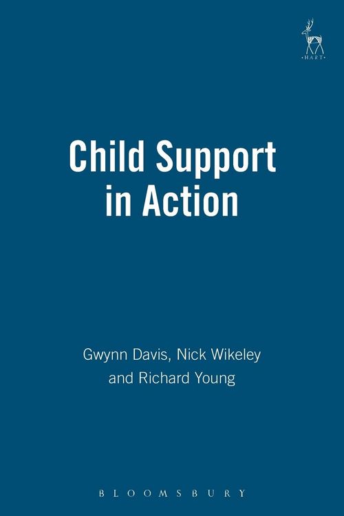 Produktbild: Child Support in Action