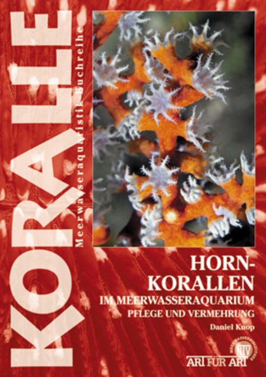 Produktbild: Hornkorallen im Meerwasseraquarium
