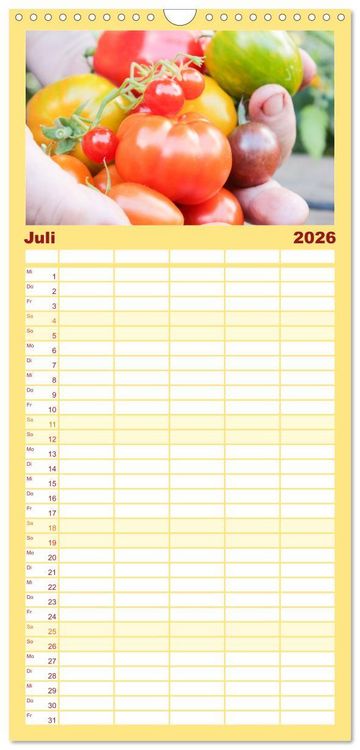 Produktbild: Familienplaner 2026 - Alte Historische Tomaten mit 5 Spalten (Wandkalender, 21 x 45 cm) CALVENDO