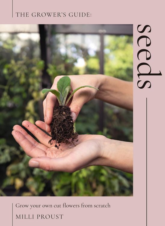Produktbild: Seeds