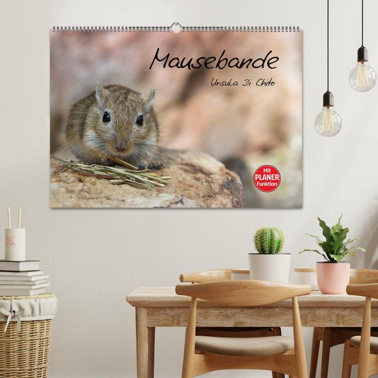 Produktbild: Mausebande (Wandkalender 2026 DIN A2 quer), CALVENDO Monatskalender