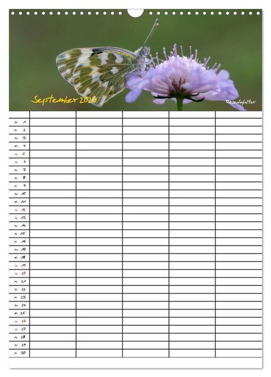 Produktbild: Schmetterlinge in Bayern (Wandkalender 2026 DIN A3 hoch), CALVENDO Monatskalender