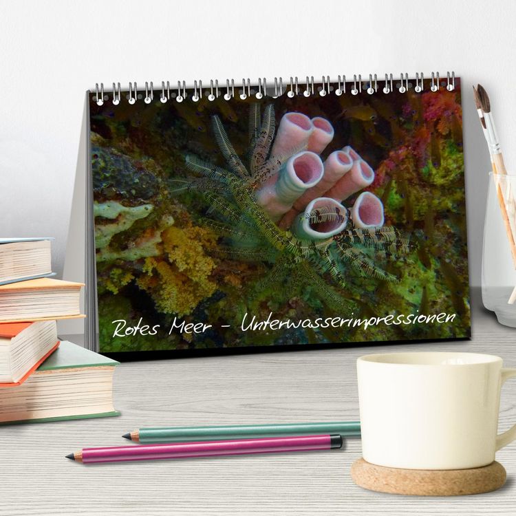 Produktbild: Rotes Meer - Unterwasserimpressionen (Tischkalender 2026 DIN A5 quer), CALVENDO Monatskalender