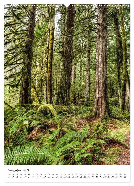 Produktbild: Weltnaturerbe Olympic National Park (hochwertiger Premium Wandkalender 2026 DIN A2 hoch), Kunstdruck in Hochglanz