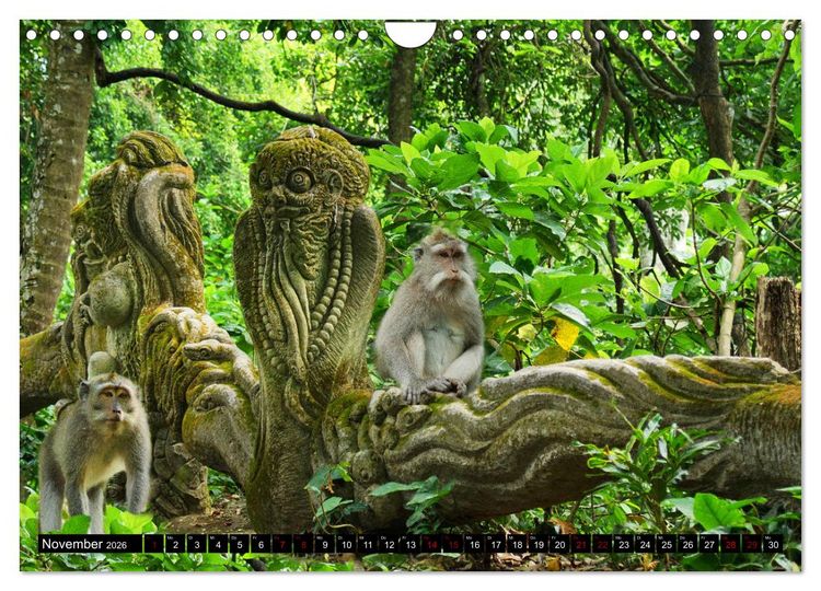 Produktbild: Bali. Im Reich der G&ouml;tter (Wandkalender 2026 DIN A4 quer), CALVENDO Monatskalender