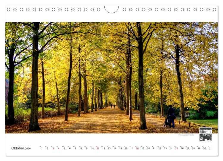 Produktbild: M&Uuml;NSTER :: Ansichten einer lebenswerten Stadt (Wandkalender 2026 DIN A4 quer), CALVENDO Monatskalender