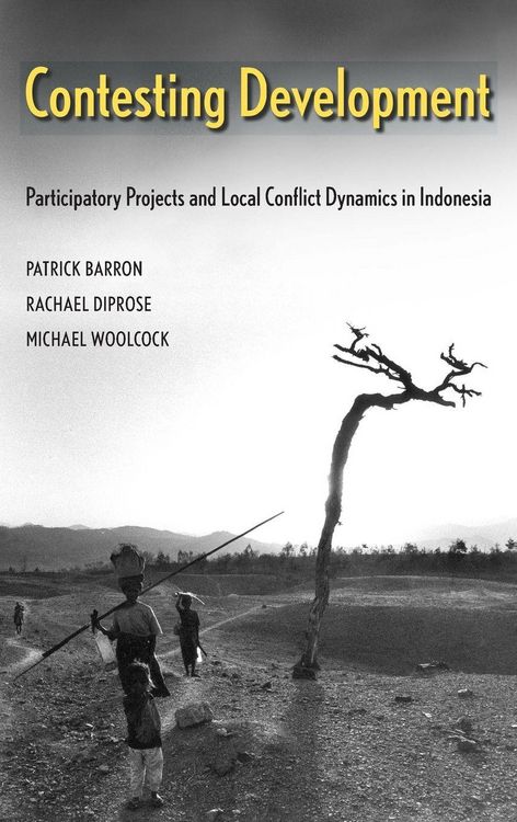 Produktbild: Contesting Development