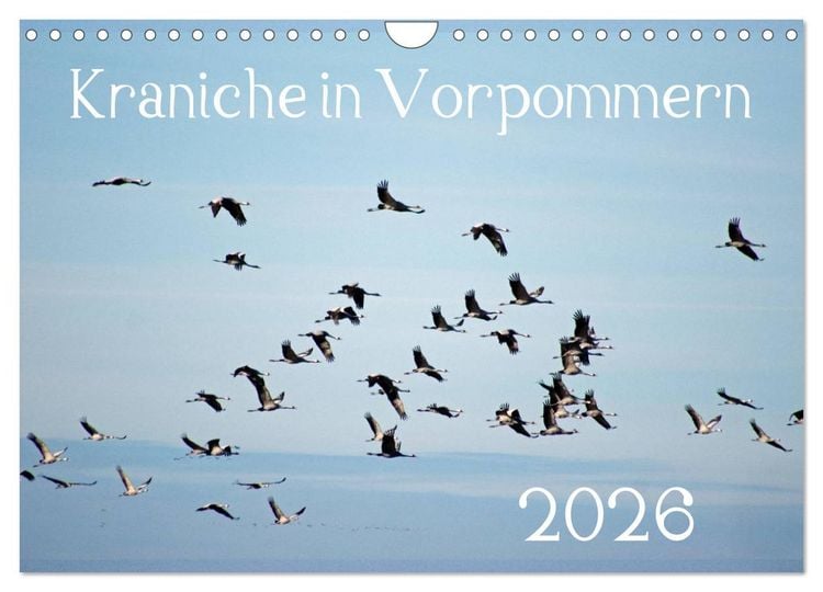 Produktbild: Kraniche in Vorpommern (Wandkalender 2026 DIN A4 quer), CALVENDO Monatskalender