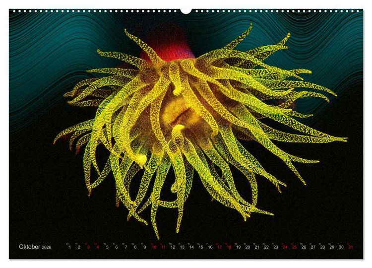 Produktbild: Artwork Unterwasser - Erlebnis Tauchen (hochwertiger Premium Wandkalender 2026 DIN A2 quer), Kunstdruck in Hochglanz