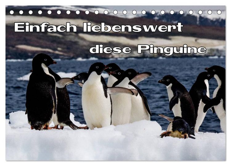 Produktbild: Einfach liebenswert diese Pinguine (Tischkalender 2026 DIN A5 quer), CALVENDO Monatskalender