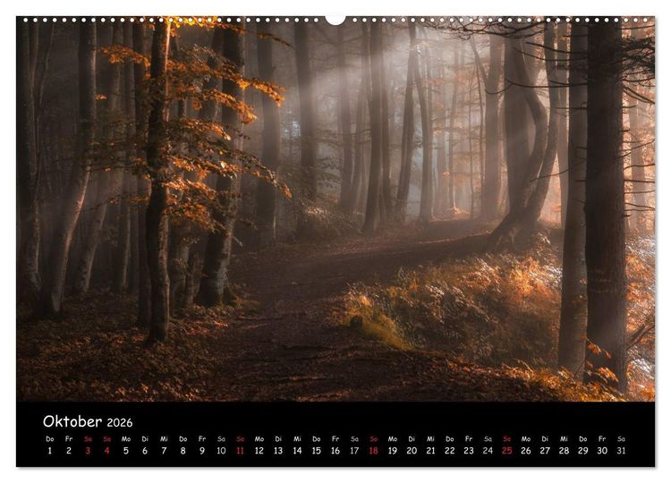 Produktbild: Faszination Morgenlicht (Wandkalender 2026 DIN A2 quer), CALVENDO Monatskalender