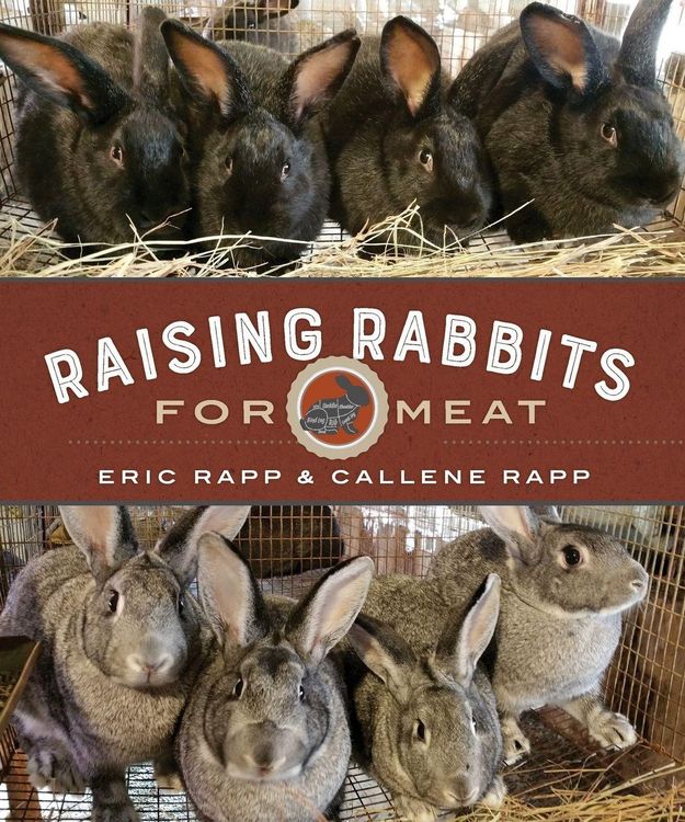 Produktbild: Raising Rabbits for Meat