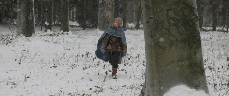 Produktbild: Die Legende vom Weihnachtsstern (mit Malbuch) LTD.
