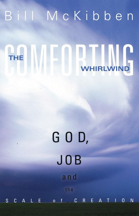 Produktbild: The Comforting Whirlwind