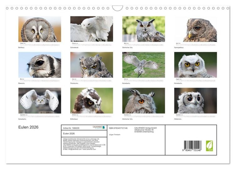 Produktbild: Eulen 2026 (Wandkalender 2026 DIN A3 quer), CALVENDO Monatskalender
