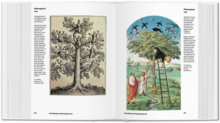 Produktbild: Alchemy & Mysticism