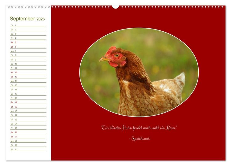 Produktbild: Freilaufende H&uuml;hner (hochwertiger Premium Wandkalender 2026 DIN A2 quer), Kunstdruck in Hochglanz