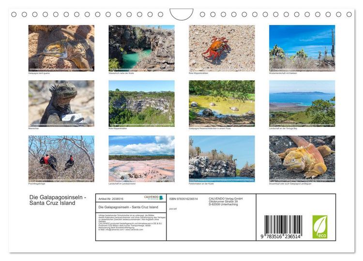 Produktbild: Die Galapagosinseln - Santa Cruz Island (Wandkalender 2026 DIN A4 quer), CALVENDO Monatskalender