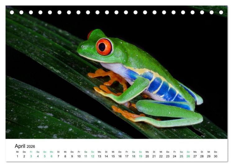 Produktbild: Costa Rica - Tropische Tierwelt (Tischkalender 2026 DIN A5 quer), CALVENDO Monatskalender