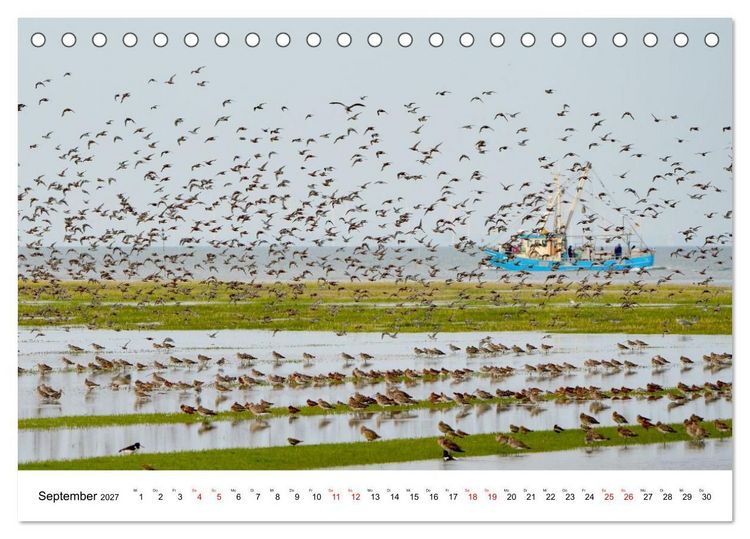 Produktbild: Pellwormer Ogenblicke, ein Streifzug durch ein Inseljahr (Tischkalender 2027 DIN A5 quer), CALVENDO Monatskalender