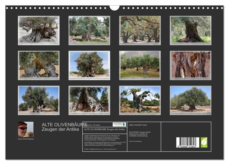Produktbild: ALTE OLIVENB&Auml;UME Zeugen der Antike (Wandkalender 2027 DIN A3 quer), CALVENDO Monatskalender