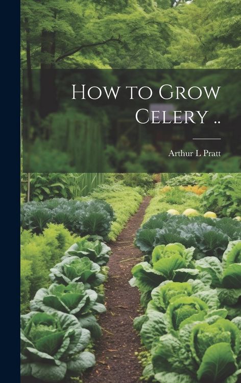 Produktbild: How to Grow Celery ..