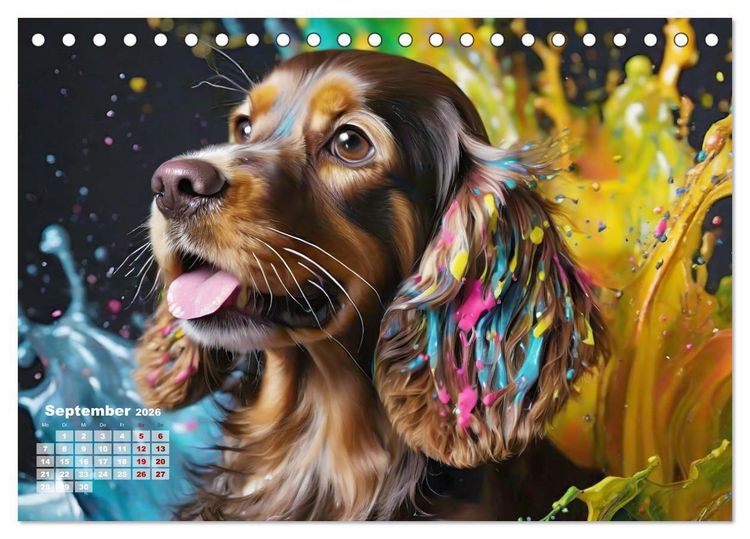 Produktbild: Splash - Hunde im Farbrausch (Tischkalender 2026 DIN A5 quer), CALVENDO Monatskalender