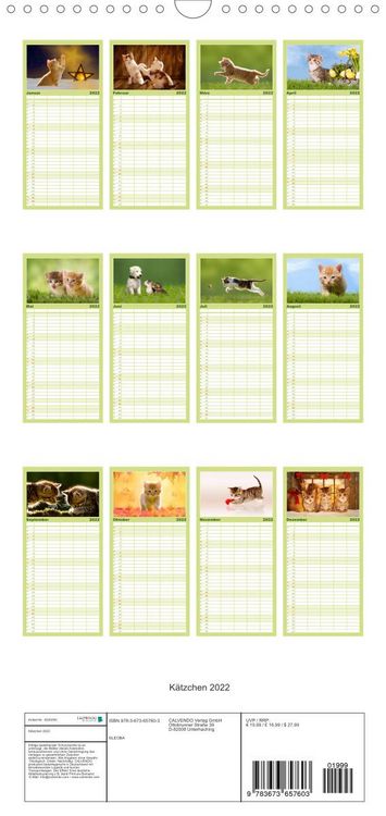 Produktbild: Familienplaner K&auml;tzchen 2022 (Wandkalender 2022 , 21 cm x 45 cm, hoch)