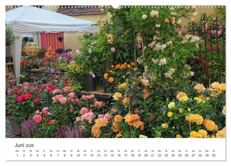 Produktbild: Stadtbummel im sch&ouml;nen N&ouml;rdlingen (hochwertiger Premium Wandkalender 2026 DIN A2 quer), Kunstdruck in Hochglanz
