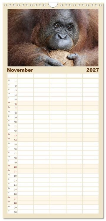 Produktbild: Familienplaner 2027 - Waldmenschen - Orang Utans auf Borneo mit 5 Spalten (Wandkalender, 21 x 45 cm) CALVENDO
