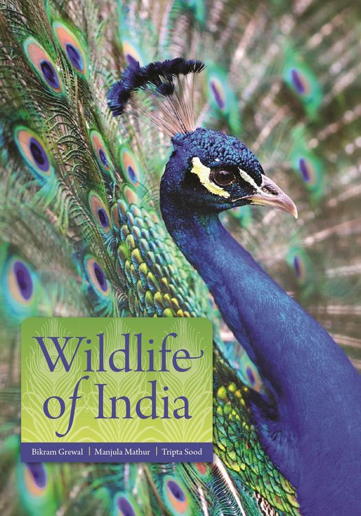 Produktbild: Wildlife of India