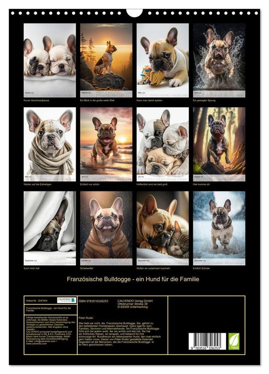 Produktbild: Franz&ouml;sische Bulldogge - ein Hund f&uuml;r die Familie (Wandkalender 2026 DIN A3 hoch), CALVENDO Monatskalender