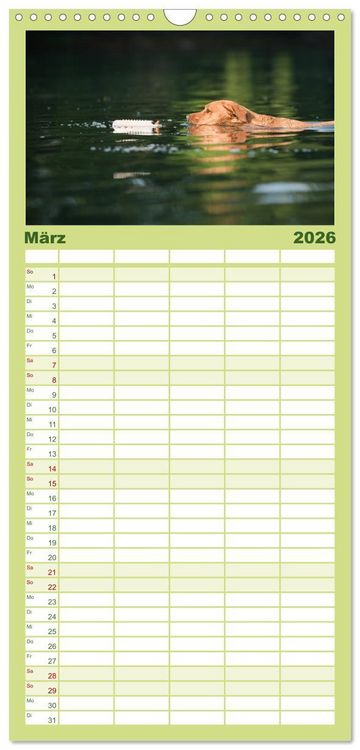 Produktbild: Familienplaner 2026 - Faszination Labrador - gelb, foxred, schwarz mit 5 Spalten (Wandkalender, 21 x 45 cm) CALVENDO