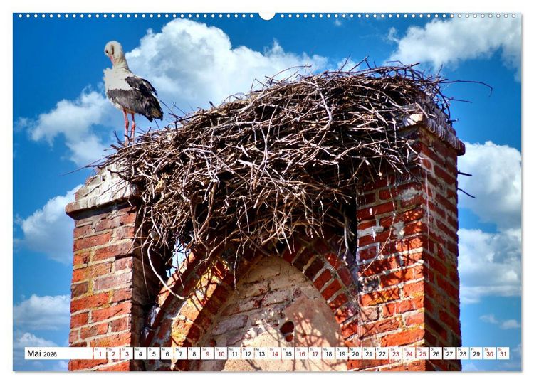 Produktbild: Die Kirche von M&uuml;hlhausen - Ein architektonisches Kleinod in Ostpreu&szlig;en (hochwertiger Premium Wandkalender 2026 DIN A2 quer), Kunstdruck in Hochglanz