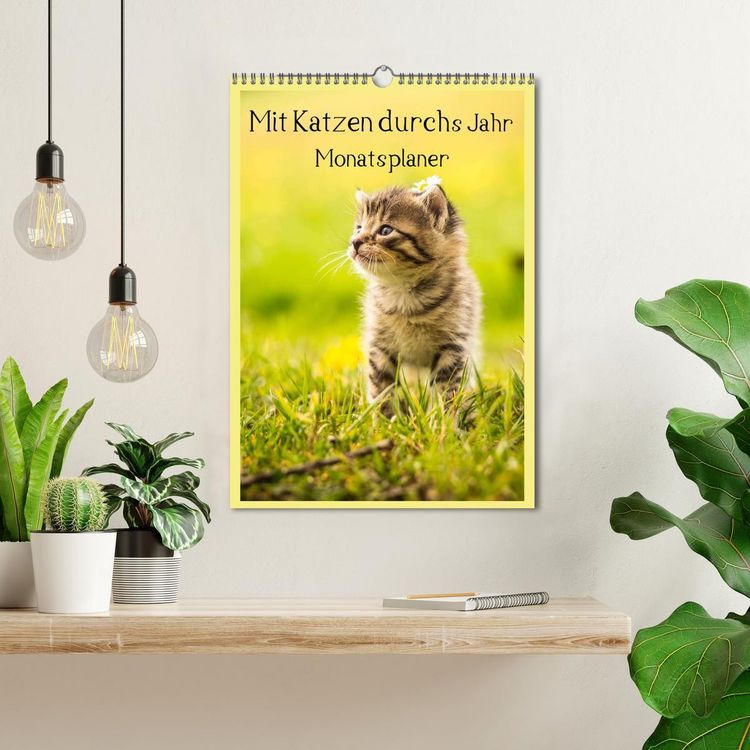 Produktbild: Mit Katzen durchs Jahr / Planer (Wandkalender 2026 DIN A3 hoch), CALVENDO Monatskalender